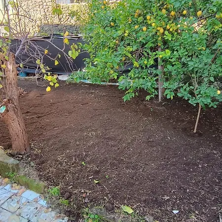 Casa Antonella * Ischia