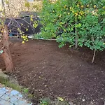 Casa Antonella * איסקיה