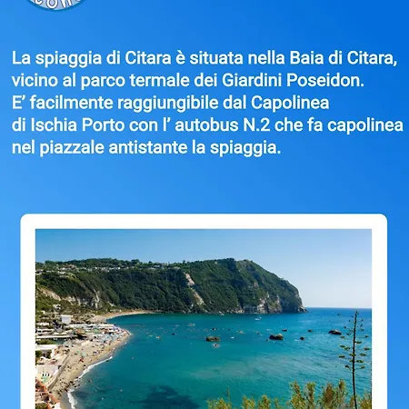 Casa Antonella 아파트 *