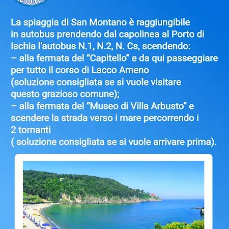 Casa Antonella 아파트 이스키아